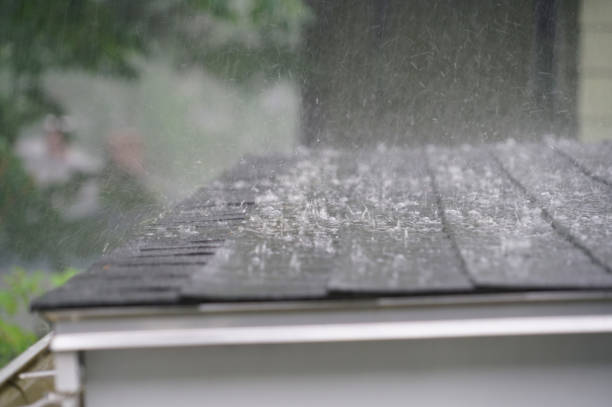 Best 4 Ply Roofing  in Findlay, OH