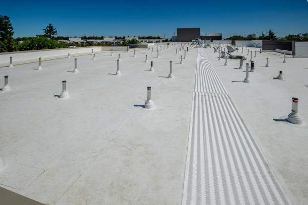 Best Roof Waterproofing  in Findlay, OH